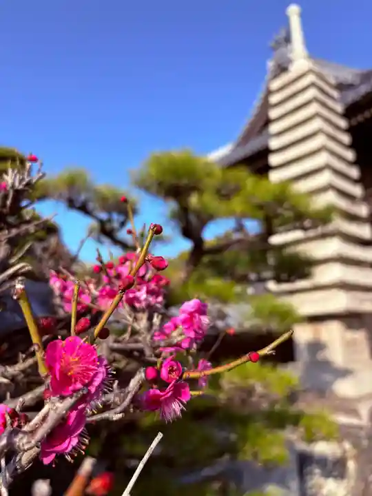 西林寺(愛媛県)