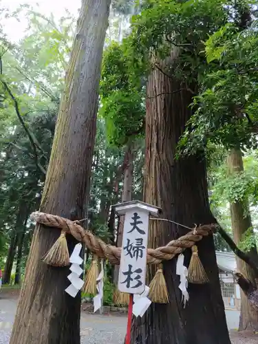 駒形神社(岩手県)
