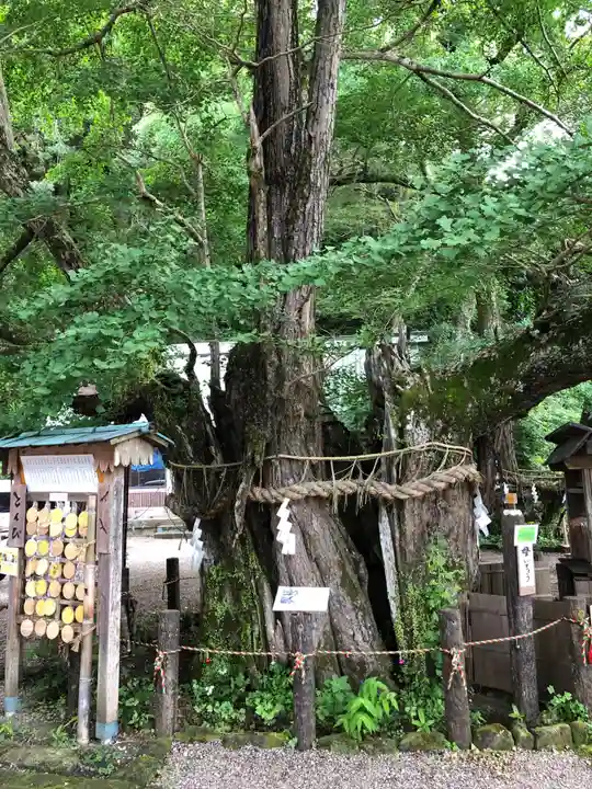 伊那下神社のその他建物