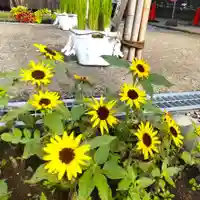 七重浜海津見神社(北海道)
