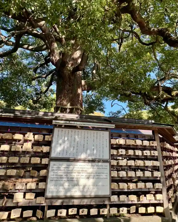 明治神宮(東京都)