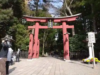 彌彦神社(新潟県)