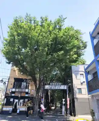 鬼子母神堂　(法明寺）の{uncategorized: "未分類", other: "その他", undefined: "問題あり", building: "その他建物", grave: "お墓", sacred_gate: "鳥居", guardian: "狛犬", statue: "像", buddha: "仏像", history: "歴史", nature: "自然", garden: "庭園", animal: "動物", pagoda: "塔", temizu: "手水舎", mountain_gate: "山門・神門", sanctuary: "本殿・本堂", subordinate: "末社・摂社", art: "芸術", scenery: "景色", jizo: "地蔵", ema: "絵馬", goshuin: "御朱印", omikuji: "おみくじ", items: "授与品その他", amulet: "お守り", goshuincho: "御朱印帳", eats: "食事", festival: "お祭り", votive_dance: "神楽", shichigosan: "七五三参", wedding: "結婚式", experience: "体験その他", initially: "初詣", around: "周辺", anti_infection: "感染症対策"}