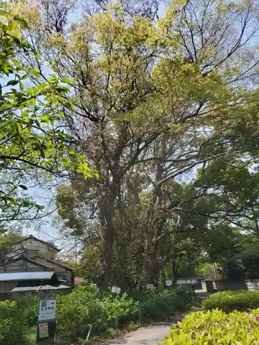 玉敷神社の庭園