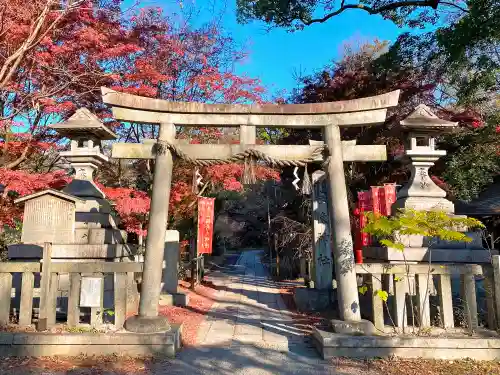 宗像神社の鳥居