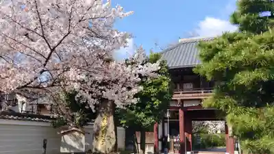 本法寺のその他建物