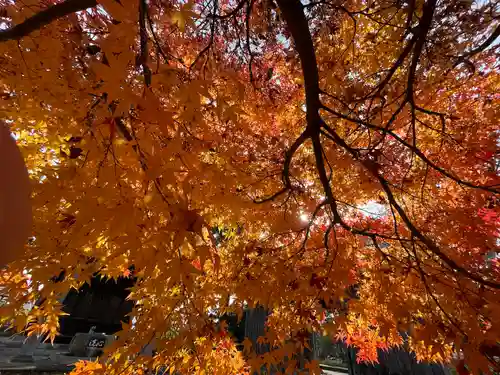 勝福寺(福島県)