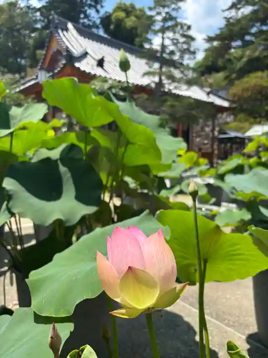 中山寺(兵庫県)