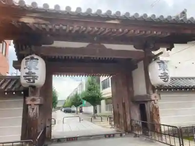 東寺(教王護国寺)の山門・神門