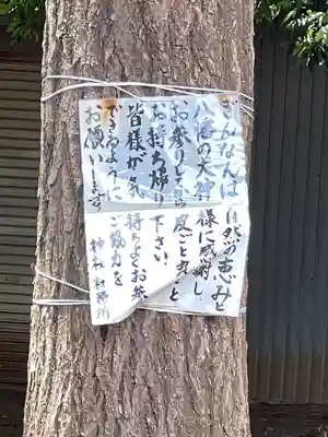 峯ヶ岡八幡神社(埼玉県)