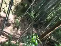 富士浅間神社の自然