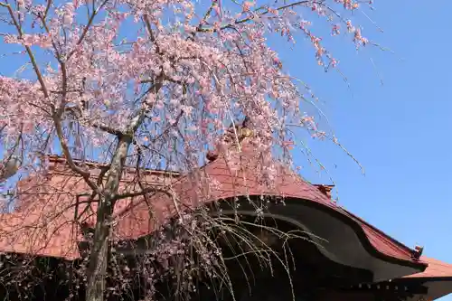 大鏑神社のその他建物