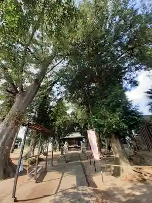 鎌庭香取神社(茨城県)