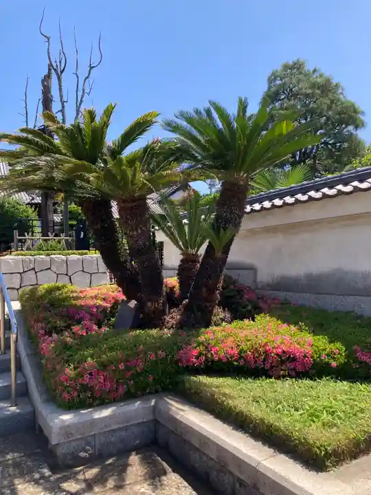 円乗院(東京都)