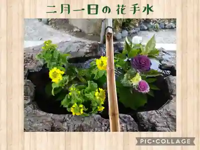 阿智神社の手水舎