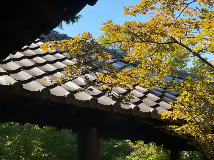 東福禅寺(東福寺)(京都府)
