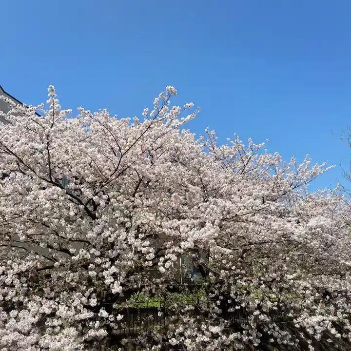大久保青木神社(神奈川県)