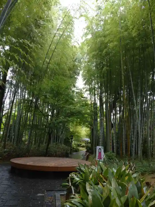 日枝神社の周辺