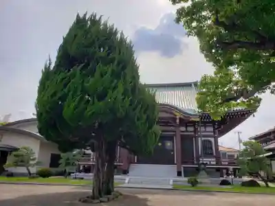 西方寺の本殿・本堂