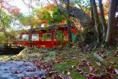 毘沙門堂門跡の庭園