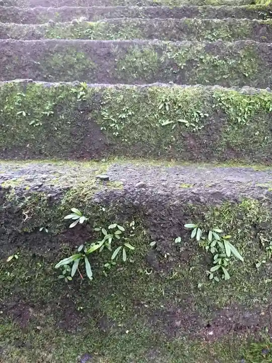 唐澤山神社の自然