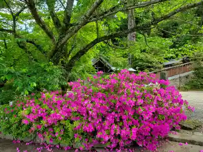 中尾神社の自然