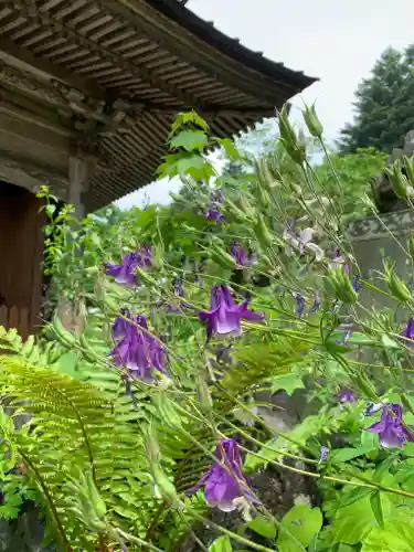 青龍山 吉祥寺の自然