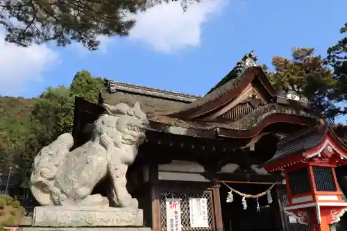 白鬚神社の狛犬