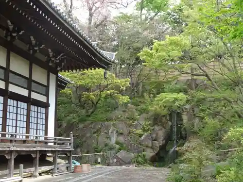 妙蓮寺の庭園