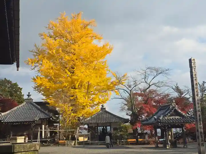 西教寺(滋賀県)