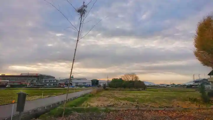 八坂社(桜木)の景色