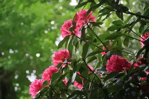 阿邪訶根神社の庭園