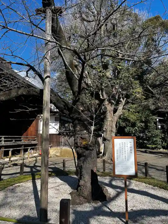靖國神社(東京都)