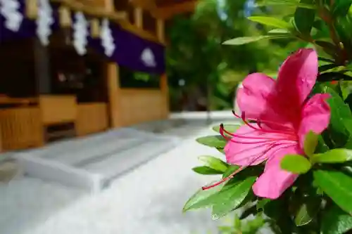 高鴨神社のその他建物