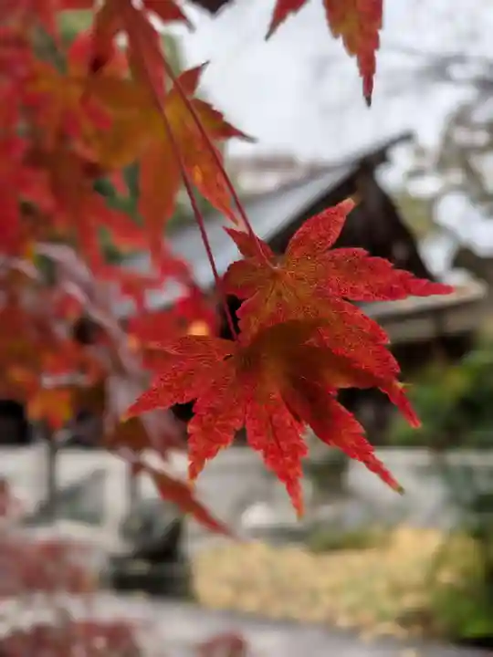 乃木神社(東京都)