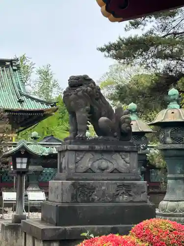 上野東照宮の狛犬