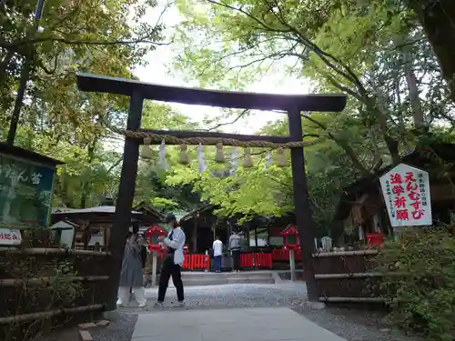 野宮神社の鳥居