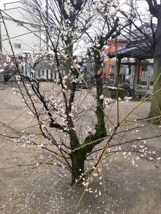 志貴縣主神社の{uncategorized: "未分類", other: "その他", undefined: "問題あり", building: "その他建物", grave: "お墓", sacred_gate: "鳥居", guardian: "狛犬", statue: "像", buddha: "仏像", history: "歴史", nature: "自然", garden: "庭園", animal: "動物", pagoda: "塔", temizu: "手水舎", mountain_gate: "山門・神門", sanctuary: "本殿・本堂", subordinate: "末社・摂社", art: "芸術", scenery: "景色", jizo: "地蔵", ema: "絵馬", goshuin: "御朱印", omikuji: "おみくじ", items: "授与品その他", amulet: "お守り", goshuincho: "御朱印帳", eats: "食事", festival: "お祭り", votive_dance: "神楽", shichigosan: "七五三参", wedding: "結婚式", experience: "体験その他", initially: "初詣", around: "周辺", anti_infection: "感染症対策"}