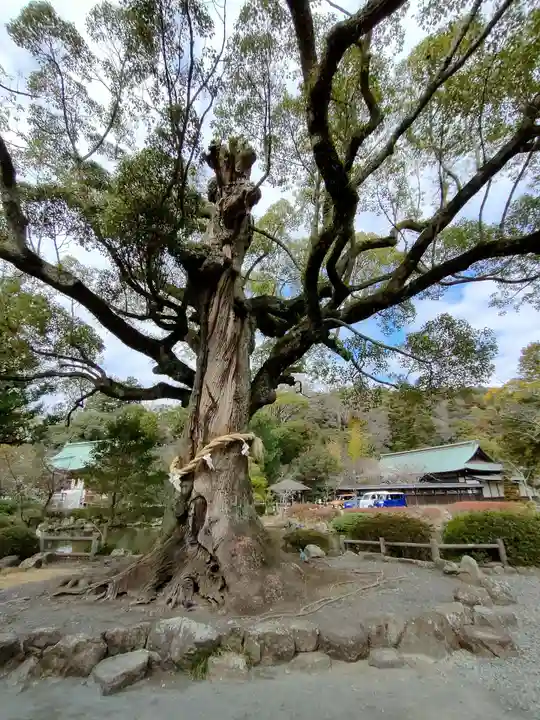静岡浅間神社の自然