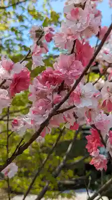 轉法輪寺(京都府)