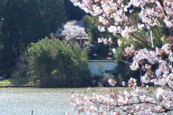牟禮山観音禅寺の自然