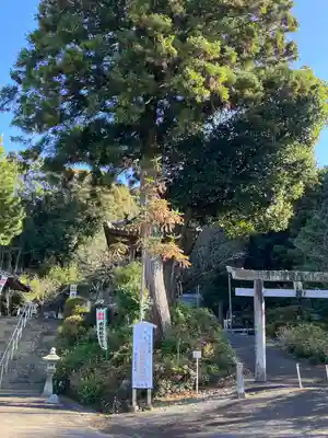 願成寺(岐阜県)