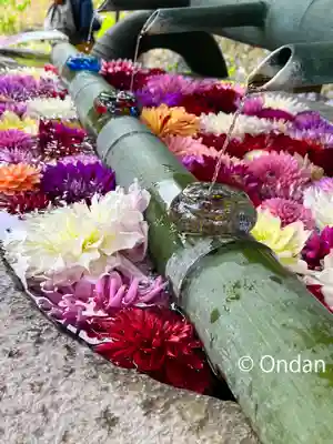 岡寺（龍蓋寺）の手水舎