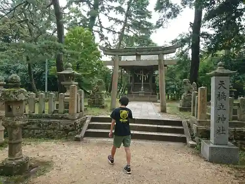 天橋立神社の鳥居