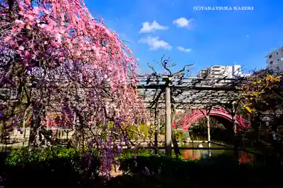 亀戸天神社(東京都)