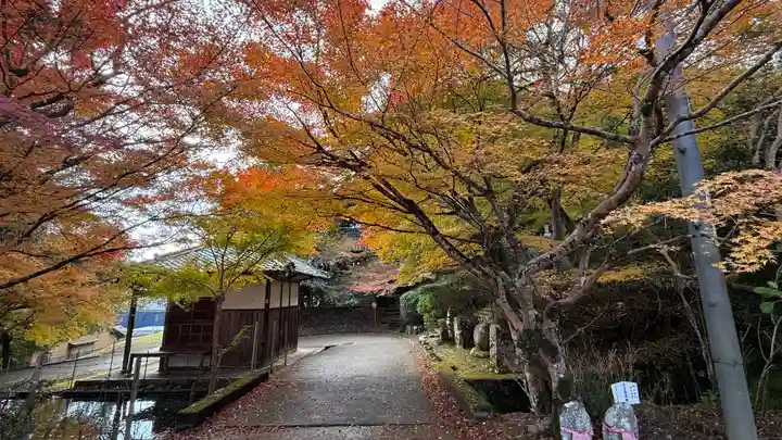 圓隆寺(京都府)