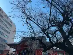 花園神社の建物その他