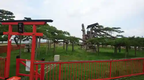 唐崎神社の鳥居