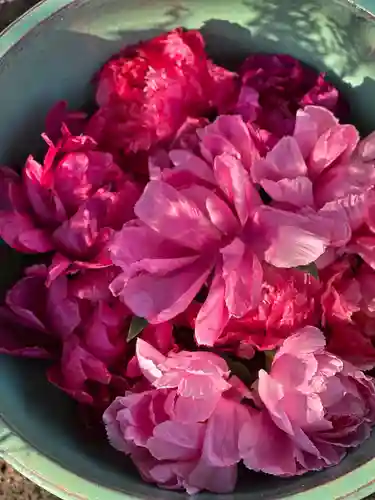 上野東照宮(東京都)