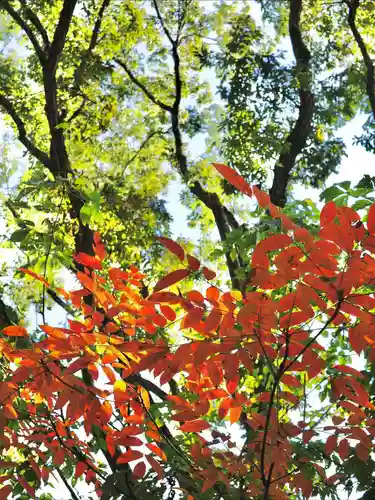 浄土寺(兵庫県)